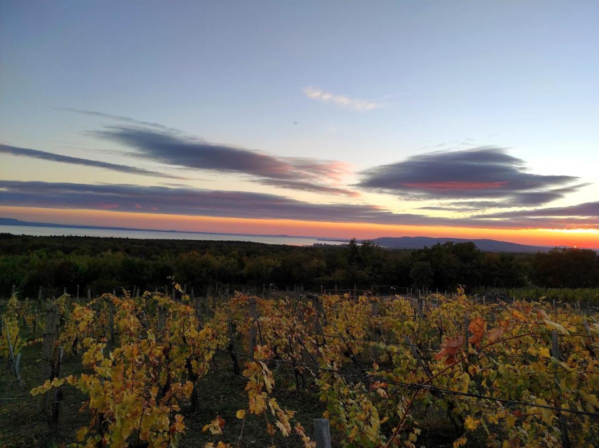Napraszallas Vendeghaz Balatonakali Exterior foto