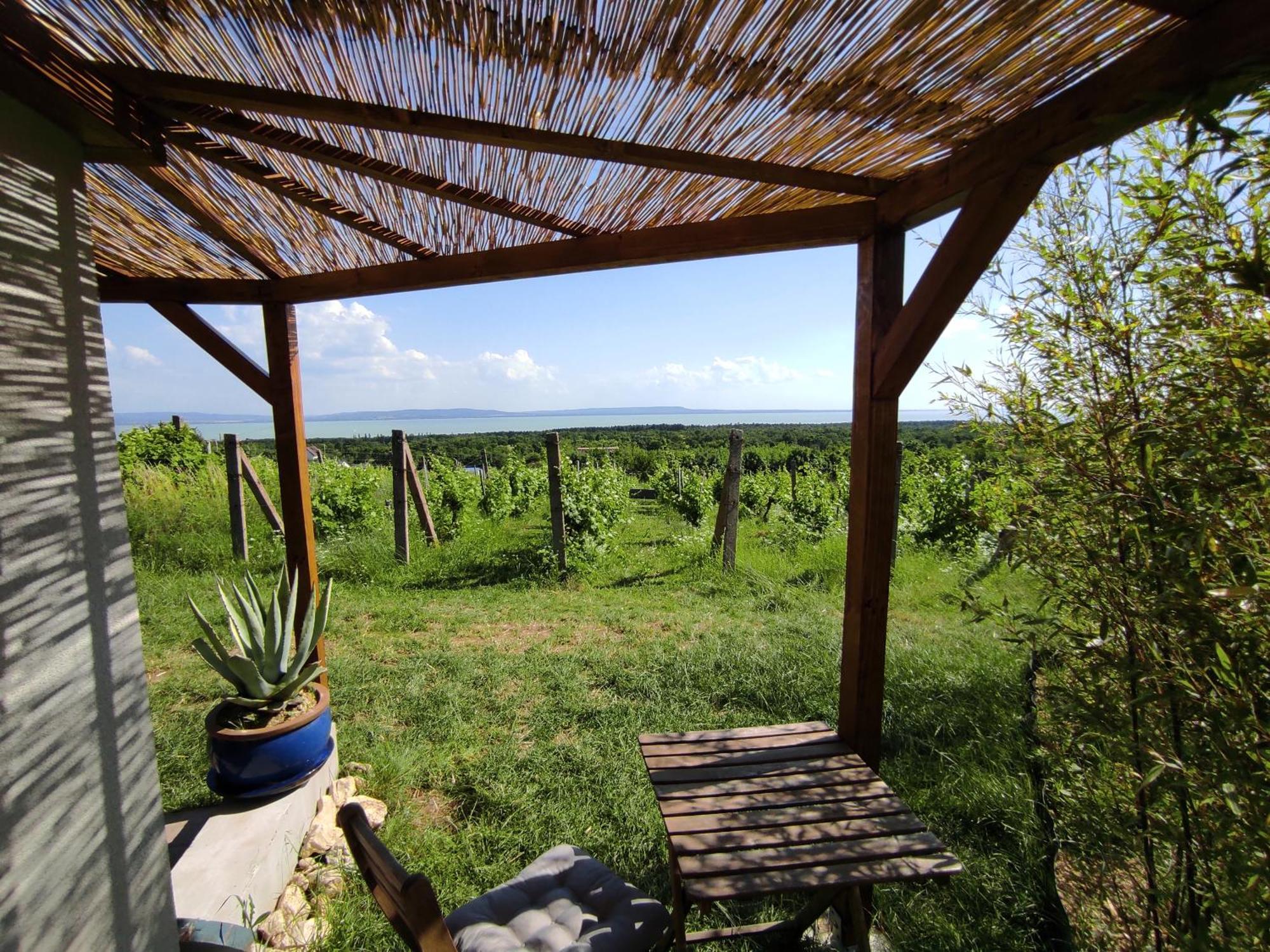 Napraszallas Vendeghaz Balatonakali Exterior foto